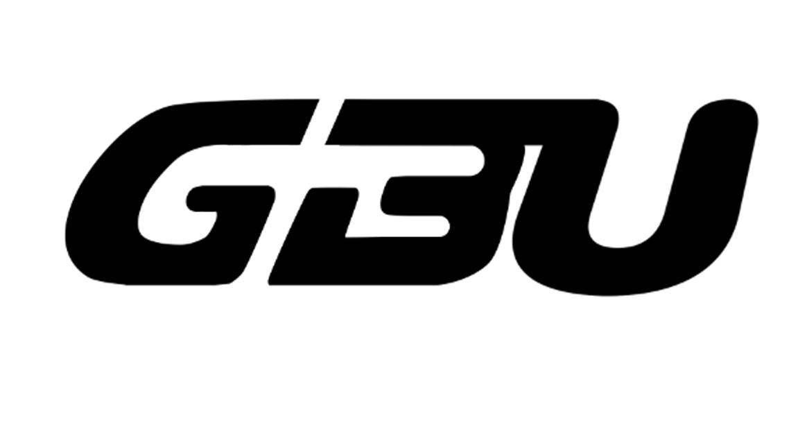 gbu一般类商标_申请人高艳波-注册号42060855-知夫子