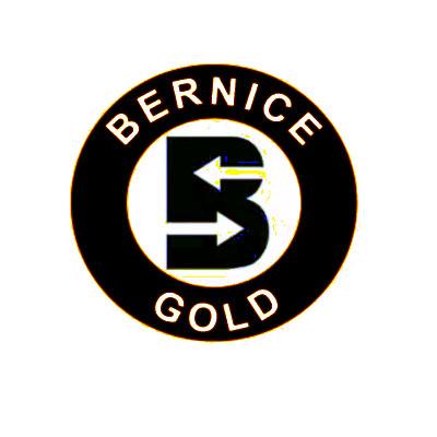 09 bernice gold咨询此标申请/注册号: 68523294申请日期: 2022-11-2